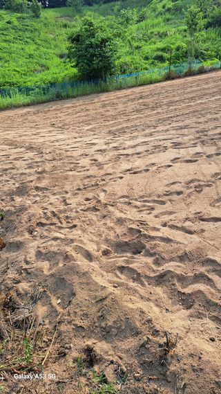 조연만님의 기타작물 · 영농일지 작성글 사진