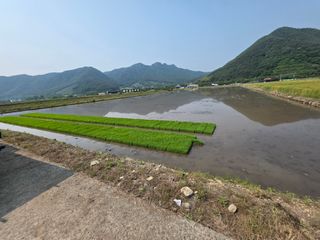 앵매도리님의 기타작물 · 영농일지 작성글 사진