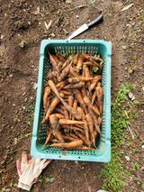 팜모닝 기타작물·영농일지 게시글 이미지