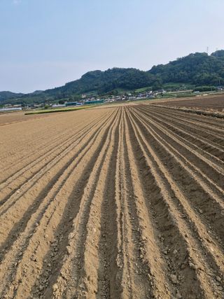 빡구님의 기타작물 · 영농일지 작성글 사진