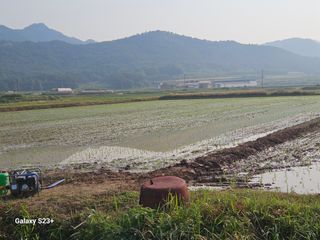 최갑수 님의 벼 · 영농일지 작성글 사진