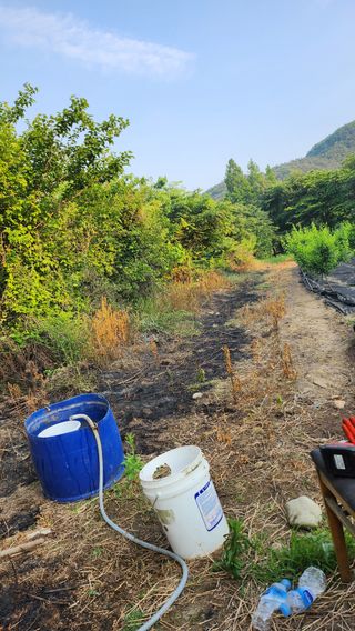 정헌경님의 기타작물 · 영농일지 작성글 사진