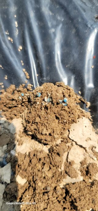 열정님의 참깨 · 영농일지 작성글 사진