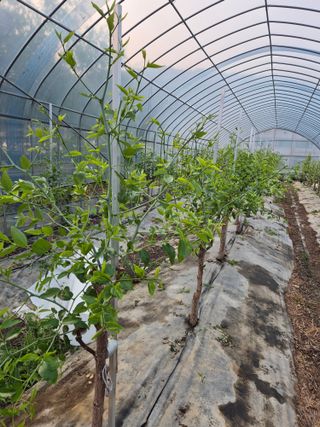 가인 5362님의 기타작물 · 자유게시판 작성글 사진