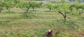 블루베리16577님의 기타작물 · 영농일지 작성글 사진