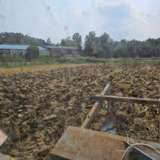 서영욱 님의 기타작물 · 영농일지 작성글 사진