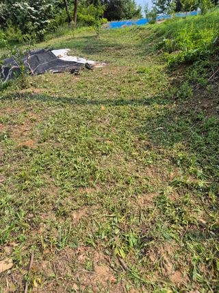 호랑이별님의 기타작물 · 영농일지 작성글 사진