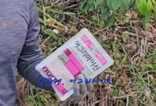 엄성열님의 기타작물 · 영농일지 작성글 사진