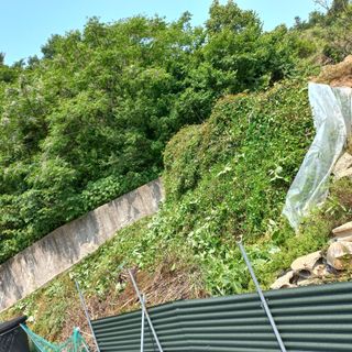 김건우님의 기타작물 · 영농일지 작성글 사진