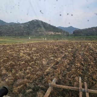 서영욱 님의 기타작물 · 영농일지 작성글 사진