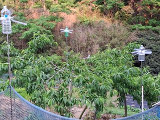 산중과실님의 기타작물 · 영농일지 작성글 사진