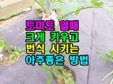 팜모닝 기타작물·영농일지 게시글 이미지
