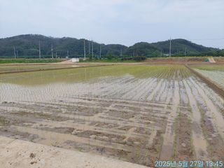 황대헌님의 벼 · 영농일지 작성글 사진