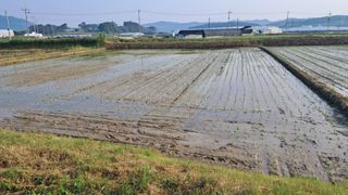 장원팜님의 벼 · 영농일지 작성글 사진