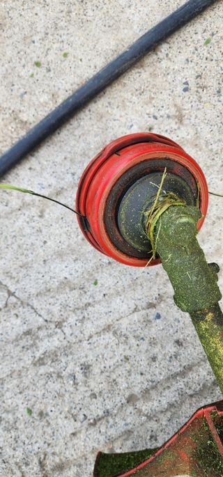 안뜰그랑님의 기타작물 · 영농일지 작성글 사진