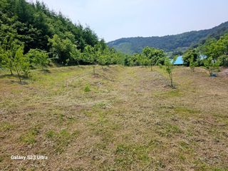 공주유구 구계박만호님의 기타작물 · 영농일지 작성글 사진