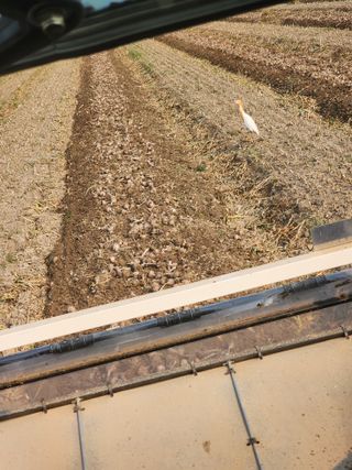 박종권님의 마늘 · 영농일지 작성글 사진