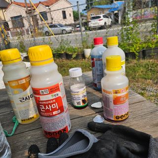 이주환님의 기타작물 · 영농일지 작성글 사진