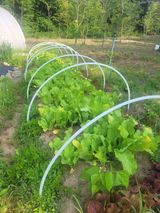 팜모닝 기타작물·영농일지 게시글 이미지