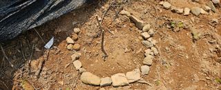 김윤오님의 두릅 · 영농일지 작성글 사진