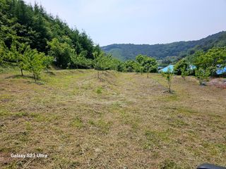 공주유구 구계박만호님의 기타작물 · 영농일지 작성글 사진