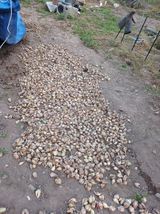 팜모닝 기타작물·영농일지 게시글 이미지