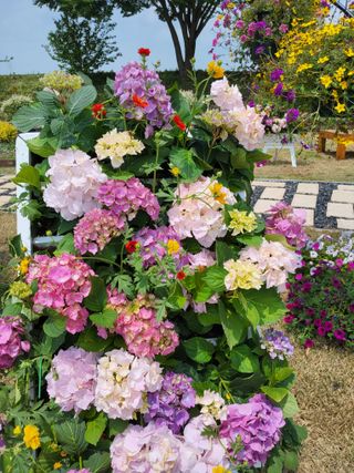 남면조재관님의 기타작물 · 영농일지 작성글 사진