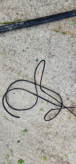 안뜰그랑님의 기타작물 · 영농일지 작성글 사진