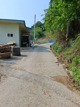 김광자님의 기타작물 · 영농일지 작성글 사진