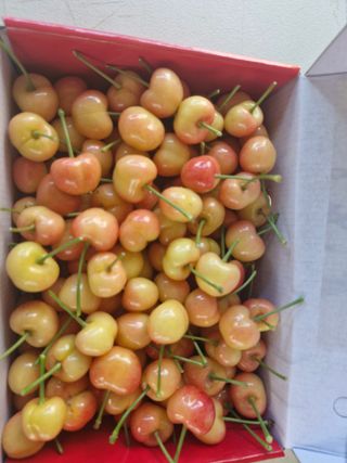 김훈철님의 기타작물 · 영농일지 작성글 사진