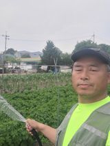 팜모닝 감자·영농일지 게시글 이미지