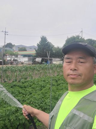 정지덕님의 감자 · 영농일지 작성글 사진