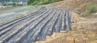 고슴도치공주님의 참깨 · 영농일지 작성글 사진