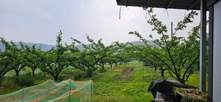 권종원님의 기타작물 · 영농일지 작성글 사진