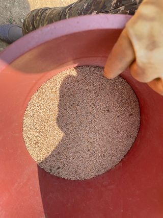 호동댁님의 참깨 · 영농일지 작성글 사진