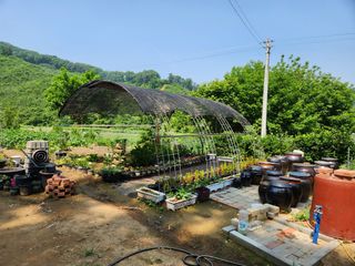 드래곤 님의 고추 · 영농일지 작성글 사진