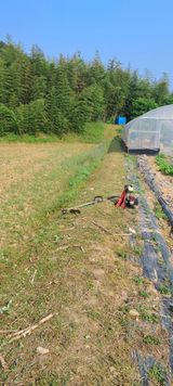 팜모닝 벼·영농일지 게시글 이미지