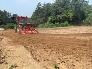 호동댁님의 참깨 · 영농일지 작성글 사진