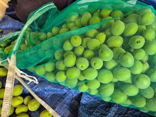 천운산님의 매실 · 영농일지 작성글 사진