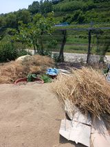 팜모닝 기타작물·영농일지 게시글 이미지