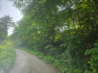 이민희님의 벼 · 영농일지 작성글 사진