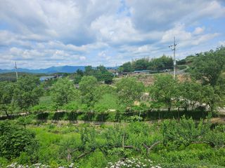 최철훈님의 감자 · 영농일지 작성글 사진