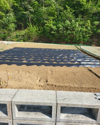 이영식님의 기타작물 · 영농일지 작성글 사진