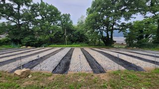 서초농원님의 기타작물 · 영농일지 작성글 사진