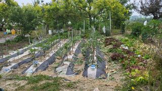 괴동조합장님의 콩 · 영농일지 작성글 사진