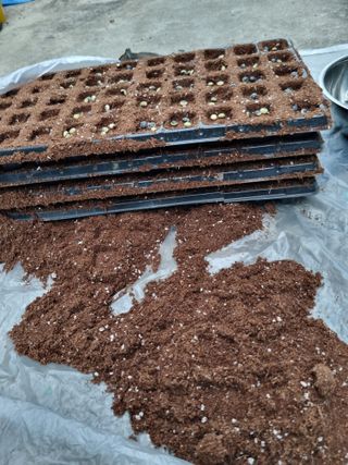 감20280님의 기타작물 · 영농일지 작성글 사진