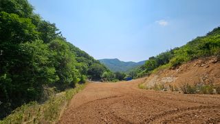 김주희님의 고추 · 영농일지 작성글 사진