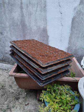 감20280님의 기타작물 · 영농일지 작성글 사진