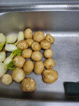 팜모닝 감자·영농일지 게시글 이미지