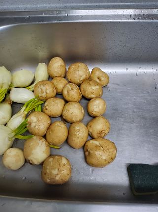 성훈농장님의 감자 · 영농일지 작성글 사진